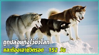 เมื่อหมาต้องเอาชีวิตรอดกลางขั้วโลก 152 วัน สปอยหนัง