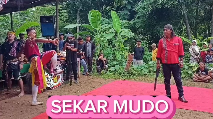 new ebeg "sekar mudo" purbowangi kebumen