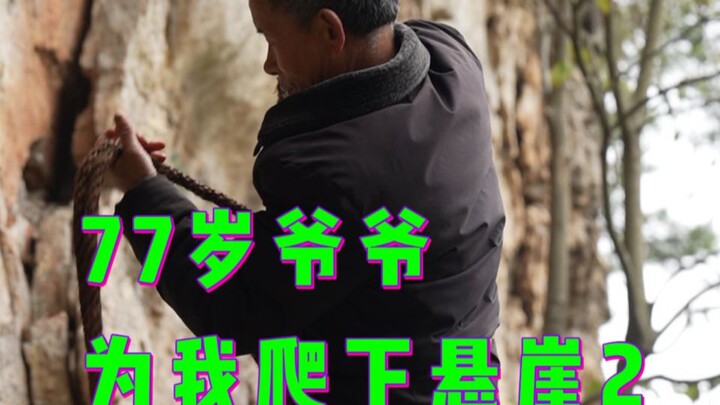 77岁爷爷为我爬下悬崖2