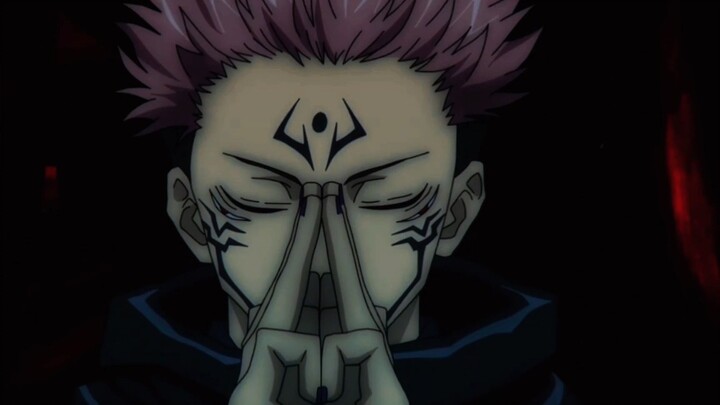 You and I are both special grade, your ability has reached special grade, and I am special grade, wh