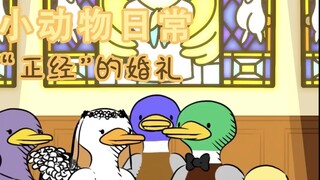حفل زفاف "مناسب" 🦆💒 - [حيوانات صغيرة يوميًا | موطن طبيعي] ترجمة بالصينية والإنجليزية
