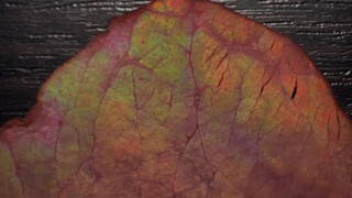 Mengapa daging sapi terkadang bercahaya hijau, bahkan memiliki warna pelangi?