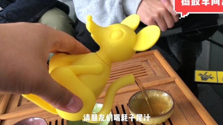 【Ma Baoguo】Drink up this “xiao zi wei zhi”!