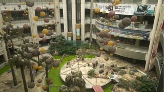 「旧核」它停止在了2015年