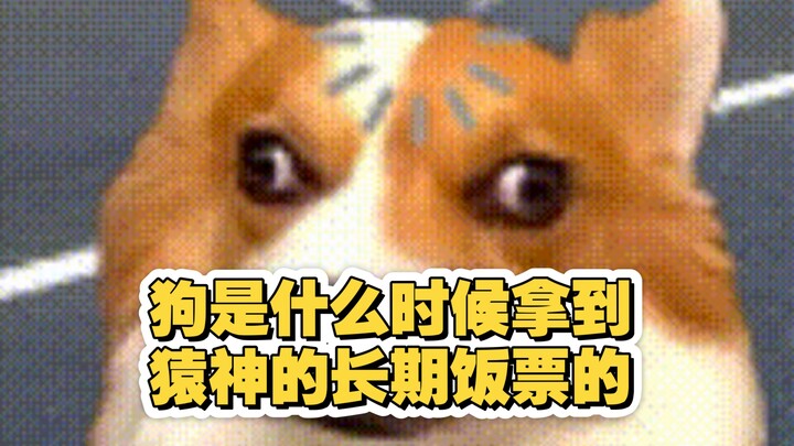 หมาตัวนี้ได้บัตรอาหารประจำจากเทพวานรเมื่อไหร่กันนะ?