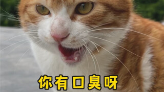 呀~你有口臭呀~