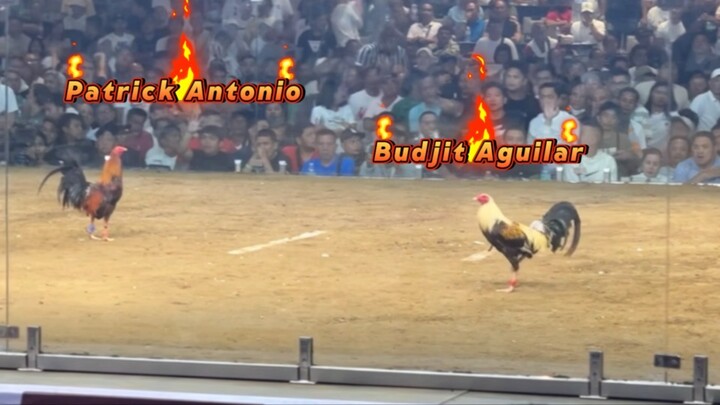 Iba tlga nokis ng isang Patrick antonio!! (Patrick Antonio vs Budjit Aguilar)