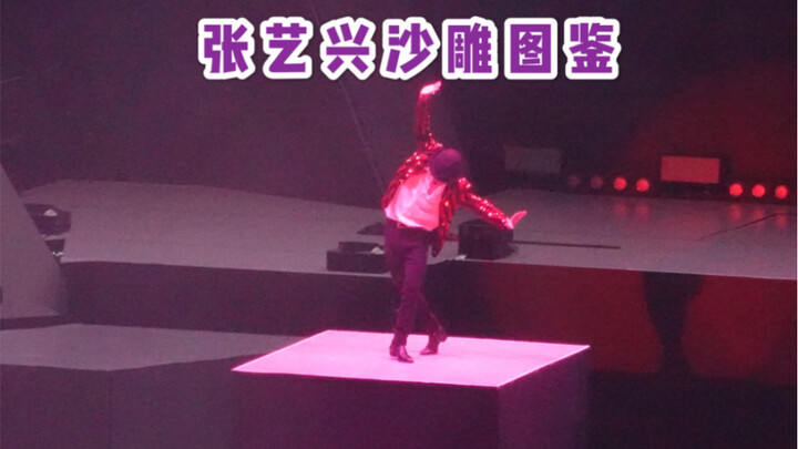 Zhang Yixing Behavior Guide: A Must-See for Xing Fans and xback Members