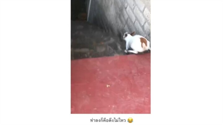 ท่าลงน้องนั้นนนน