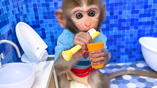 Monkey Baby Bon Bon ช้อปปิ้งในร้านขายของเล่นไข่และแปรงฟันในห้องน้ำ