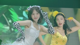 【4K LIVE】Red Velvet – Mr.E+Zoo+Happiness+Hit That Drum