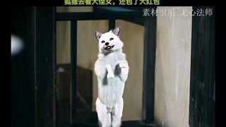 这个狐狸太可爱了，看侄女还带了大红包