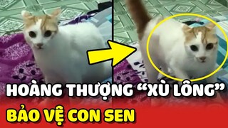 Hoàng Thượng "XÙ LÔNG" khi tưởng con Sen đang gặp NGUY HIỂM 😍 | Yêu Lu