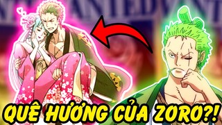 Zoro Đến Từ Đâu?! | Quê Hương Các Thành Viên Mũ Rơm?!