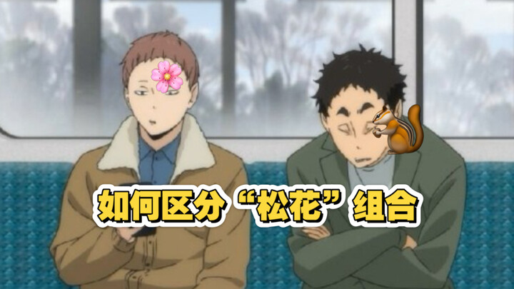 [Haikyu!!] Kageyama Tomohiro + Matsukawa Kazushige: How to act as a mediator for “Kagekatsu”?