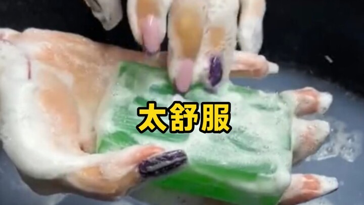 Season 6 of the Ultimate Stress-Relief Mini Soap Is Here!