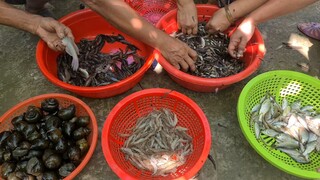 Chỉ Sau Một Đêm Mưa Bão Đặt Lú Mà Cá Tép Cỡ Này | TKQ & Family T1083