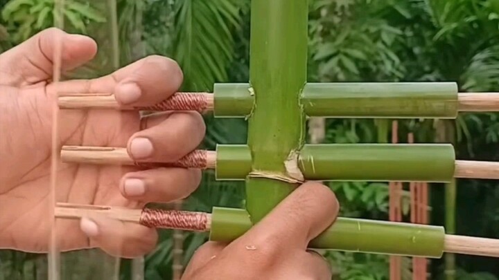 เอาล่ะๆ ถึงตาฉันเล่นบ้างแล้ว!