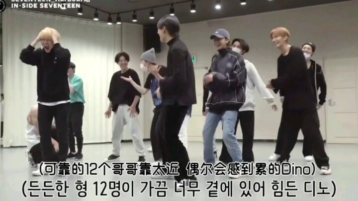 Dino：其实有的时候有这些哥哥也。。挺好的吧