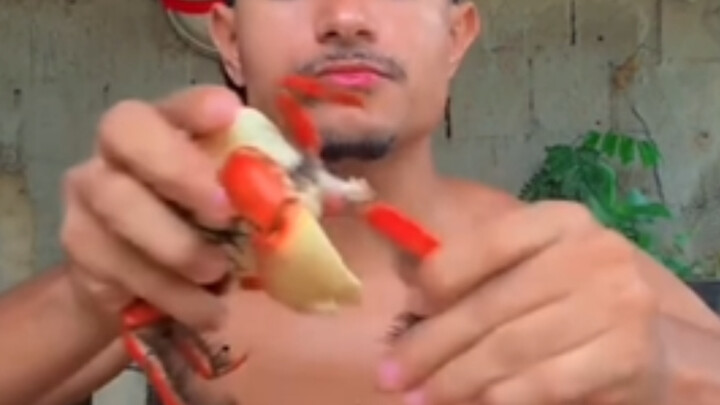 Không phải chứ, con cua này ăn mịn màng còn hơn cả tôi đang nhai hạt dưa nữa?!?