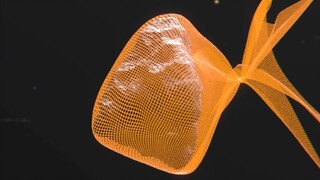 How to capture an asteroid