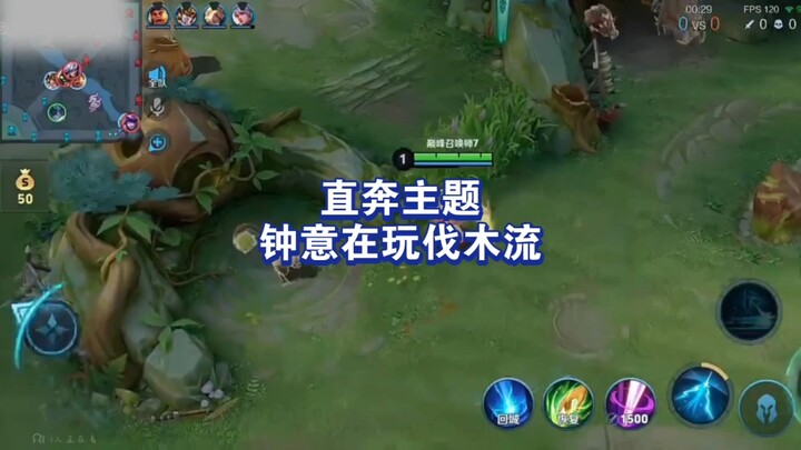 Chung Ý Phong Đỉnh đã bắt đầu luyện Đại Tư Mệnh phái đốn gỗ, mong sớm được mang vào thi đấu.