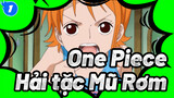 One Piece
Hải tặc Mũ Rơm_1