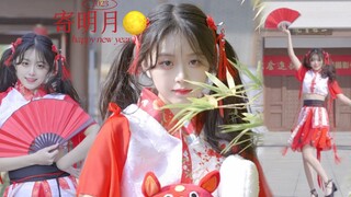 无人机+呆呆兔=…？红红火火【寄明月】！❀新春快乐～
