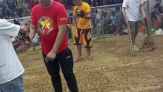 nnca new caloocan caybiga arena