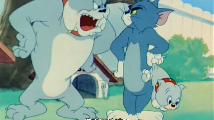 Tom is in trouble again.