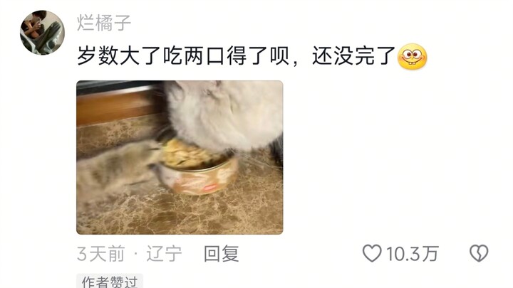 ลูกหลานไม่ลงรอยกัน ส่วนใหญ่ก็เพราะผู้สูงอายุขาดคุณธรรม 🐱: พูดบ่นอะไรอยู่น่ะ หยิบมาให้หน่อย!