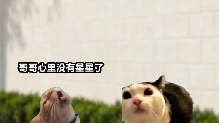 Starry Sea Little Warmth 10