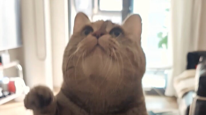 He/She banged and stood up!