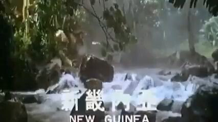 expedisi harta karun