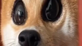 这眼睛差点把我送走