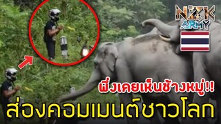 ส่องคอมเมนต์ชาวโลก-หลังเห็น“หนุ่มขับมอเตอร์ไซ”เกือบโดนช้างรุมกระทืบในประเทศไทย
