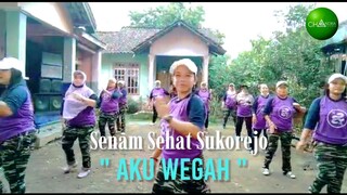 Senam Aerobik " Aku Wegah " - S3 | Zumba Tera