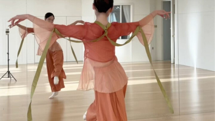Mirror version of the classical dance "Branched Branches and Flowers Covering the Clothes"