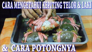 Cara Mengetahui Kepiting Telor & Laki serta Cara Potongnya