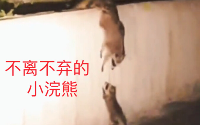 So heartwarming—can’t even breathe; the power of instant noodles