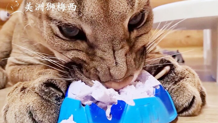 Những món đồ chơi đến từ thế kỷ 20 mới chính là niềm yêu thích của các anh chàng mạnh mẽ!