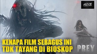 REVIEW FILM PREY 2022 - KISAH AWAL KEDATANGAN PREDATOR KE BUMI