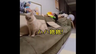 منظور الطفل الرضيع