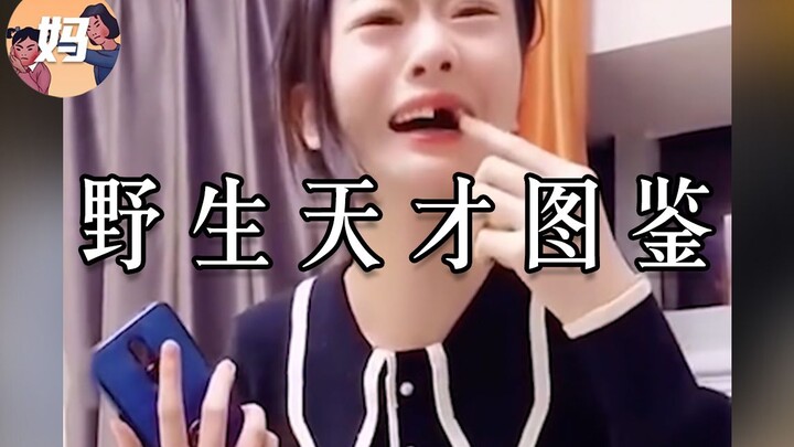【野生人类图鉴】天才总是有些癫狂的【妈见打】