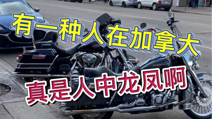 Apakah menjadi perampok di Kanada begitu menguntungkan?