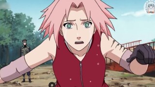 [Pengisi Suara Naruto] Apakah Sakura sangat keras kepala? Bagaimana pengisi suara Chie Nakamura meng