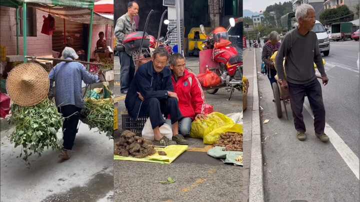 老龄化真的来了