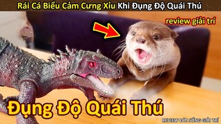 Rái Cá và Phản ứng Độc Lạ khi lần đầu đụng độ Quái Thú || Review Giải Trí Đời Sống