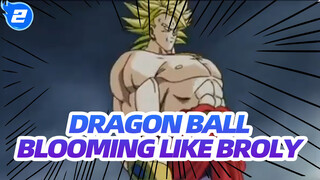 DRAGON BALL|【MAD】Blooming like Broly_2