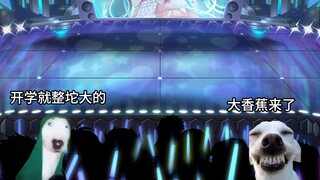 When you suddenly change the song at the welcome party
